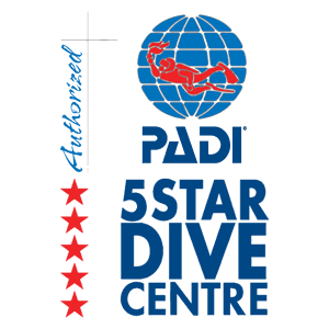 PADI 5 Star Dive Centre logo showing a globe with a red diver, PADI text, stacked "5 STAR DIVE CENTRE" and a vertical "Authorized" with five red stars