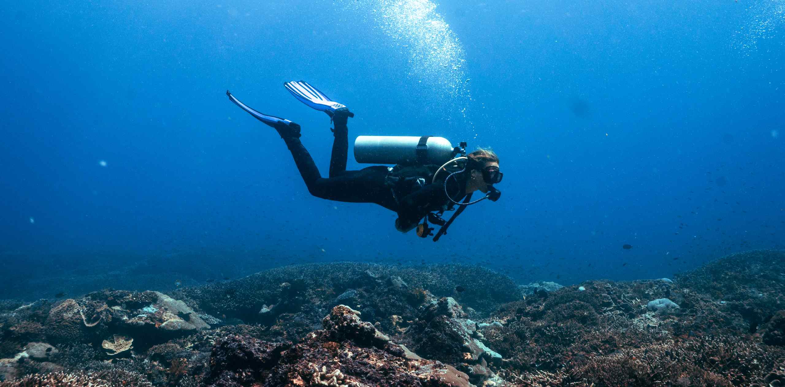 The Ultimate Guide to Freediving in Nusa Penida