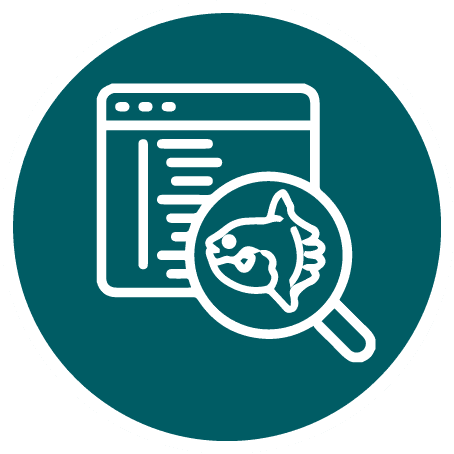 Browser window with code lines and a magnifying glass showing a fish skeleton