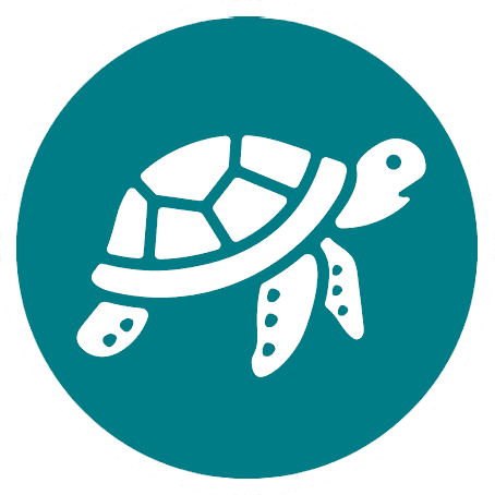 White stylized sea turtle with segmented shell and spotted flippers on teal circular background with white rim.