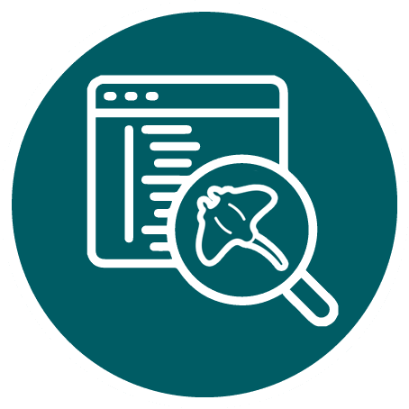 Teal circular icon of a code window with a magnifying glass highlighting a bug silhouette, representing debugging.