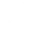 Stylized round logo showing silhouettes of a whale, manta ray, and sea turtle, with the text Marine Megafauna Foundation below.
