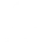 White circular logo with stylized manta ray and sea turtle silhouettes above bold stacked text MARINE MEGAFAUNA FOUNDATION