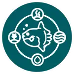 Stylized white fish icon in a circular teal badge surrounded by four small icons: steam, leaf, waves, and a droplet.