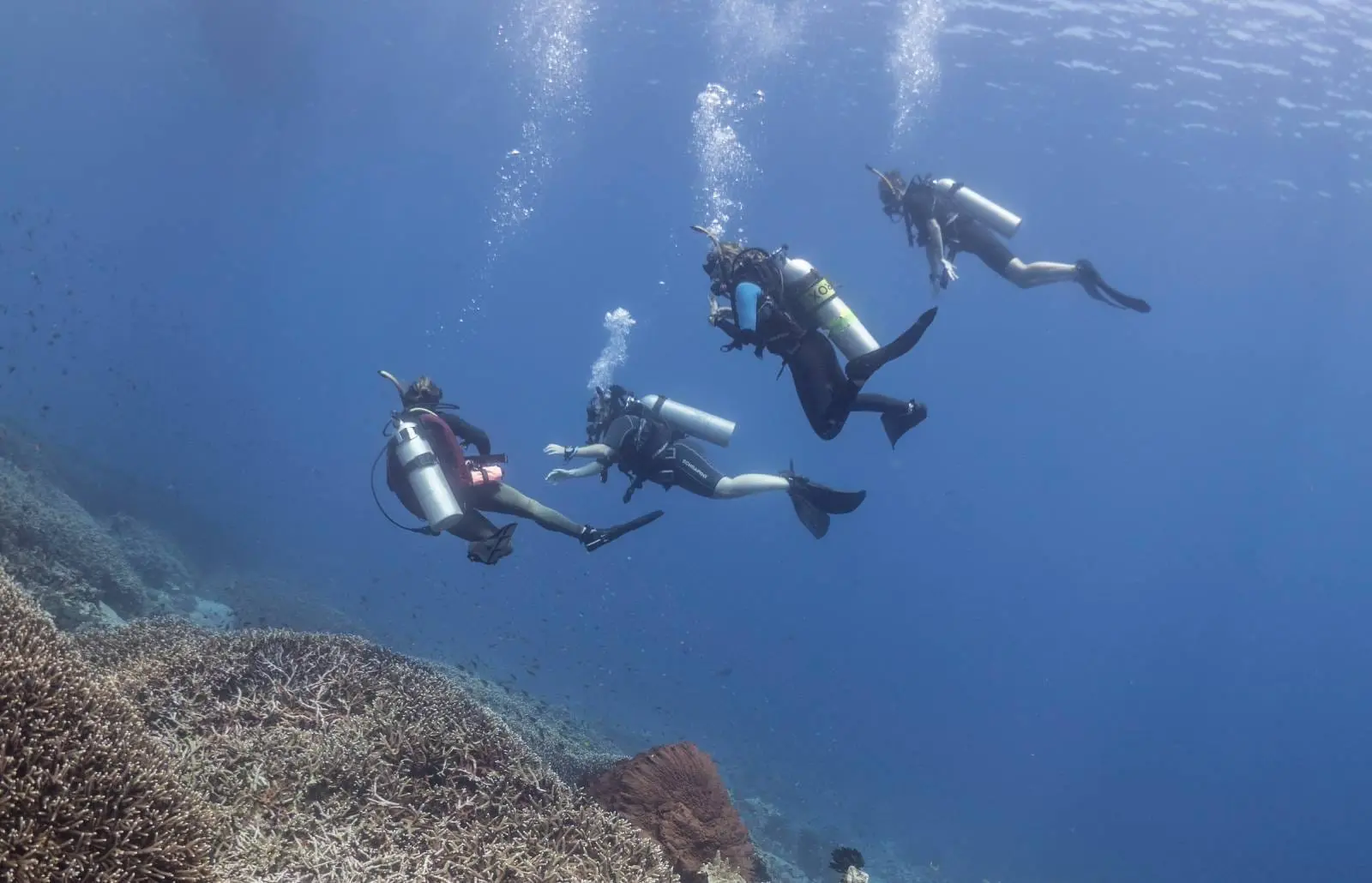 Four scuba divers swim above a coral reef off Nusa Penida, bubbles rising as they explore underwater.