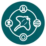 Stingray silhouette centered in a teal circle with four surrounding elemental icons—sprout, heat, waves, and a water droplet—connected by a ring.