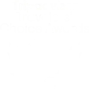 Tripadvisor Travelers' Choice Awards 2025 logo with owl emblem and laurel wreath, white on dark background; text mentions Nusa Penida promotion.
