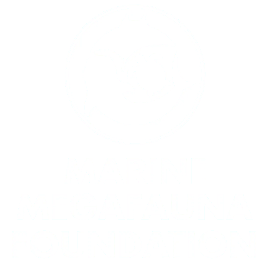 Marine Megafauna Foundation logo showing a circular emblem with silhouettes of a manta ray, whale, and sea turtle above the organization name.