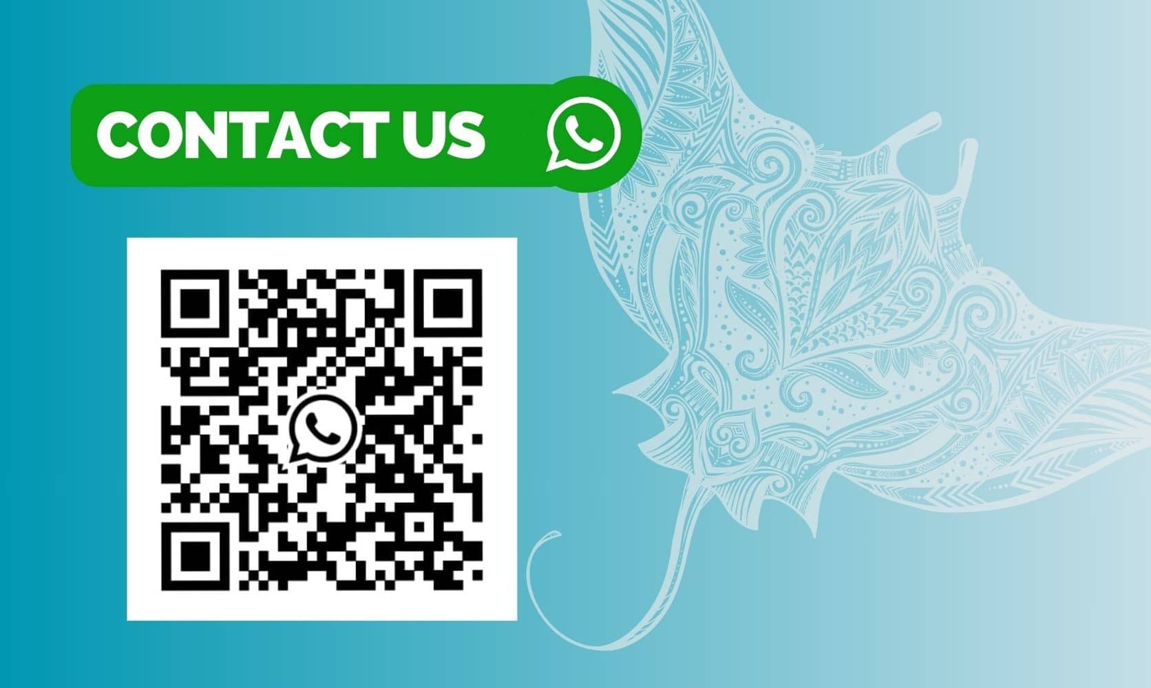 Green Contact Us banner with WhatsApp icon and a scannable QR code at left, decorative stylized ray illustration on a teal gradient background.