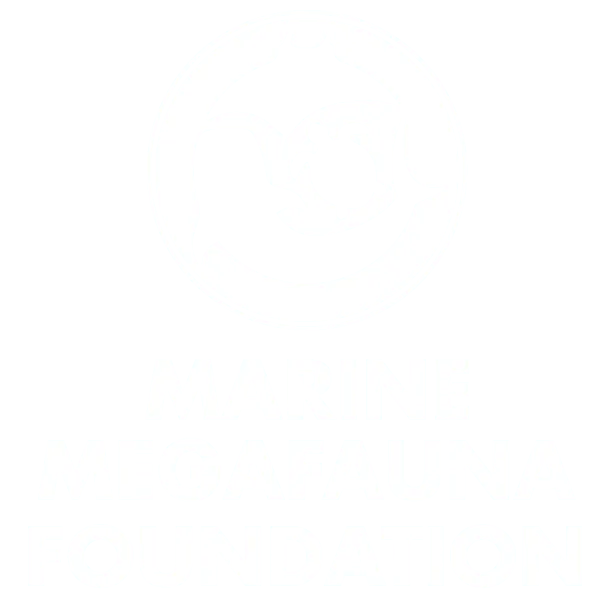 Stylized round logo showing silhouettes of a whale, manta ray, and sea turtle, with the text Marine Megafauna Foundation below.