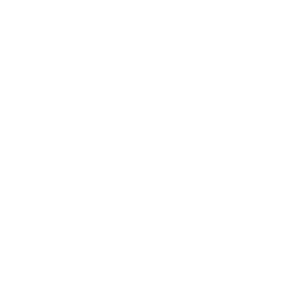 White circular logo with stylized manta ray and sea turtle silhouettes above bold stacked text MARINE MEGAFAUNA FOUNDATION