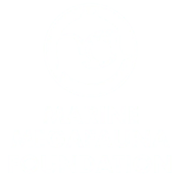 marine-megafauna-foundation-1 White circular logo with stylized manta ray and sea turtle silhouettes above bold stacked text MARINE MEGAFAUNA FOUNDATION