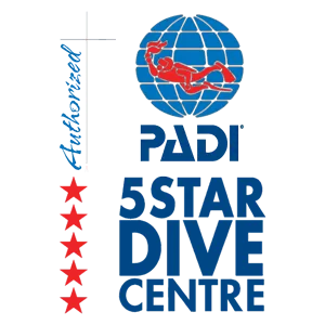 padi PADI 5 Star Dive Centre logo showing a globe with a red diver, PADI text, stacked "5 STAR DIVE CENTRE" and a vertical "Authorized" with five red stars