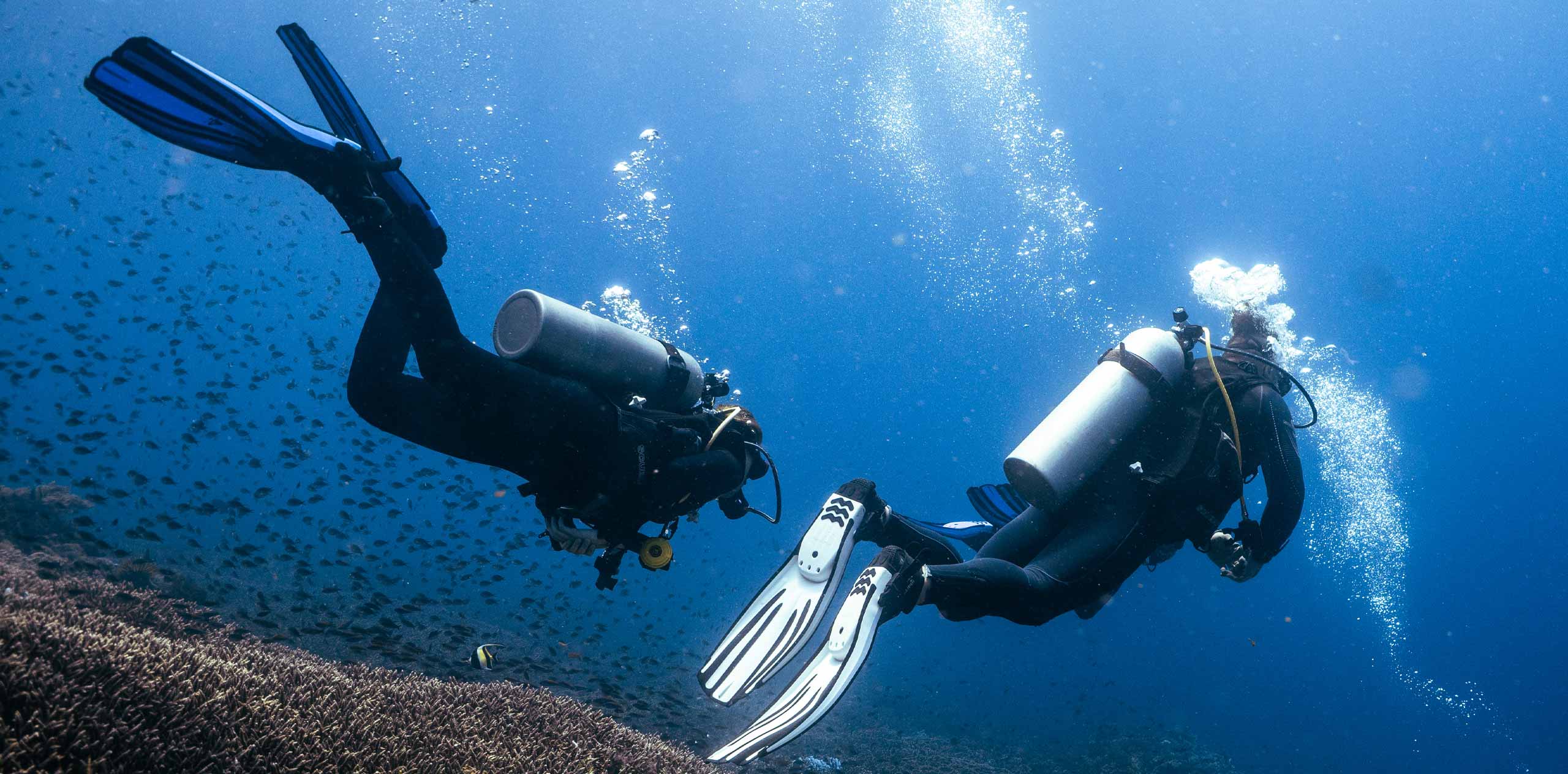 Advanced-Open-Water-Penida Dos buceadores con tanques nadan sobre un arrecife entre bancos de peces en Nusa Penida, burbujas ascendentes visibles.