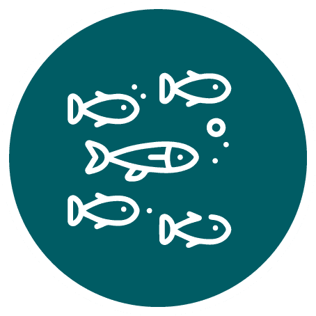 b Stylized white line drawing of a school of five fish, one larger among smaller ones, with bubbles inside a teal circular badge.
