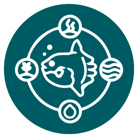 Stylized white fish icon in a circular teal badge surrounded by four small icons: steam, leaf, waves, and a droplet.