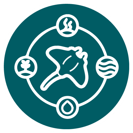 Stingray silhouette centered in a teal circle with four surrounding elemental icons—sprout, heat, waves, and a water droplet—connected by a ring.